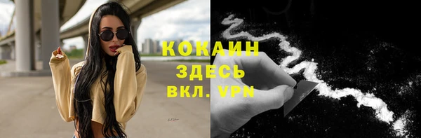 мет Карпинск