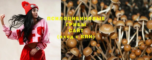 мет Карпинск