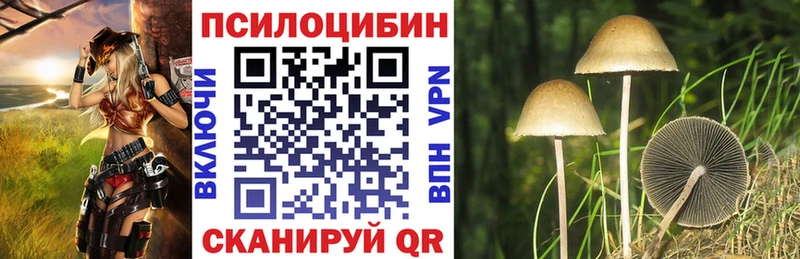 Псилоцибиновые грибы MAGIC MUSHROOMS  Купить закладки  Бабушкин 